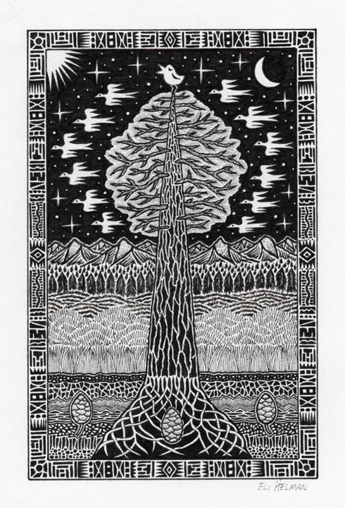 Bird on Redwood (original)