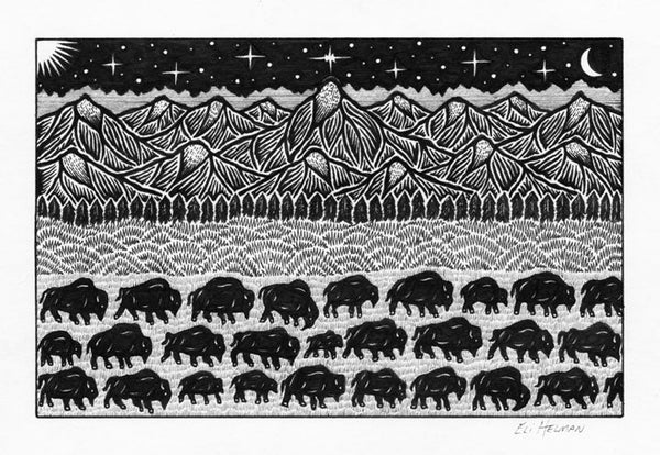 Bison Herd (original)