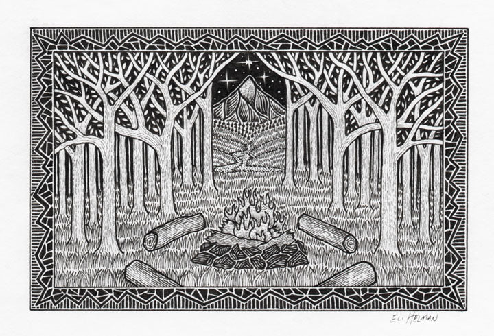 Campsite Forest