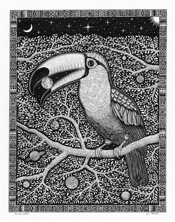 Toucan Earth