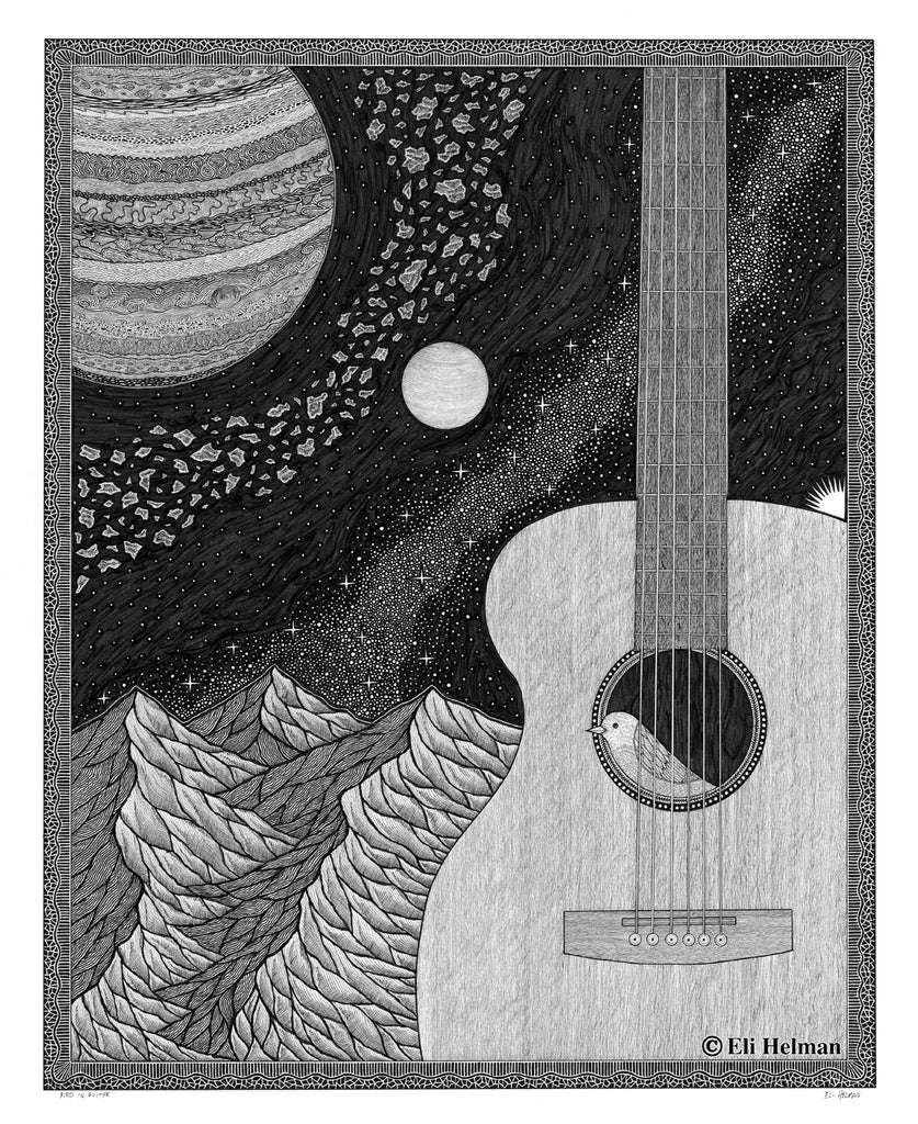 Bird in Guitar
