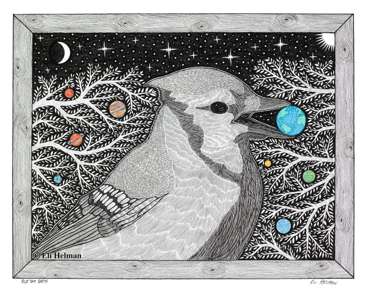 Blue Jay Earth