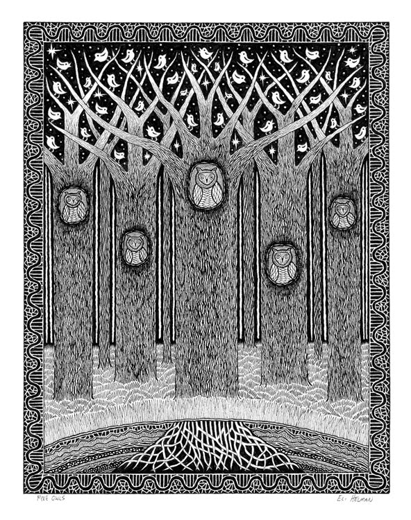 Five Owls