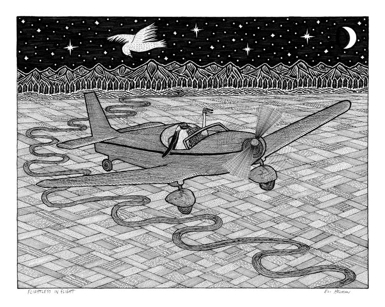 Flightless in Flight