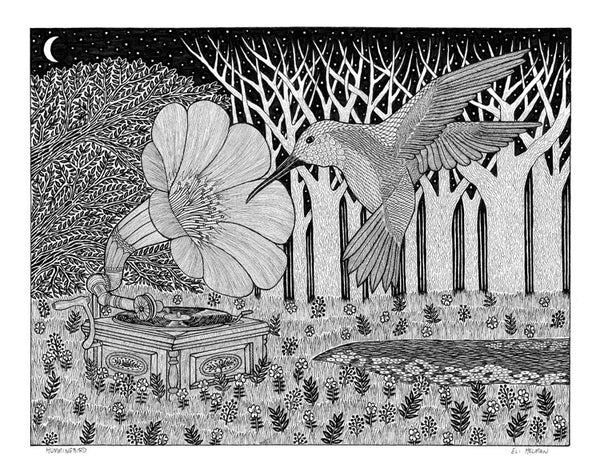Hummingbird