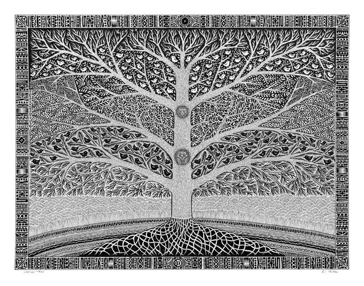 Looking Tree
