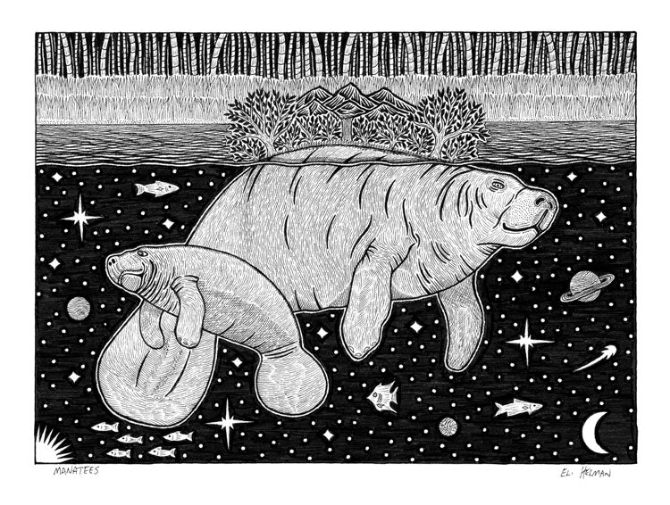 Manatees