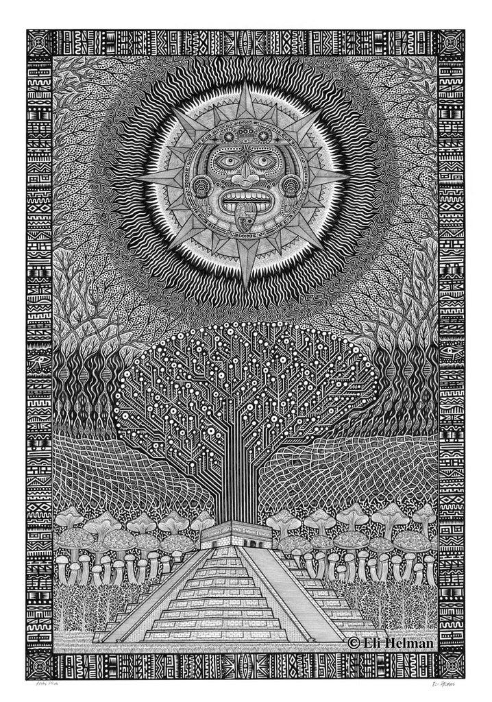 Mayan Vision