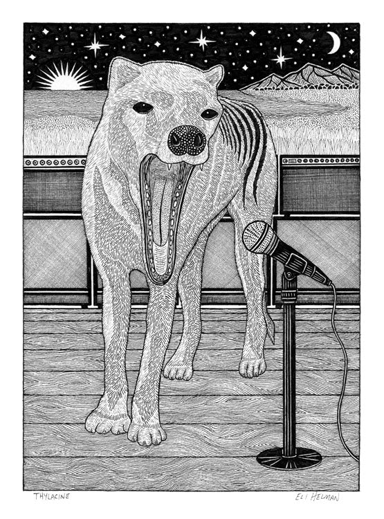 Thylacine
