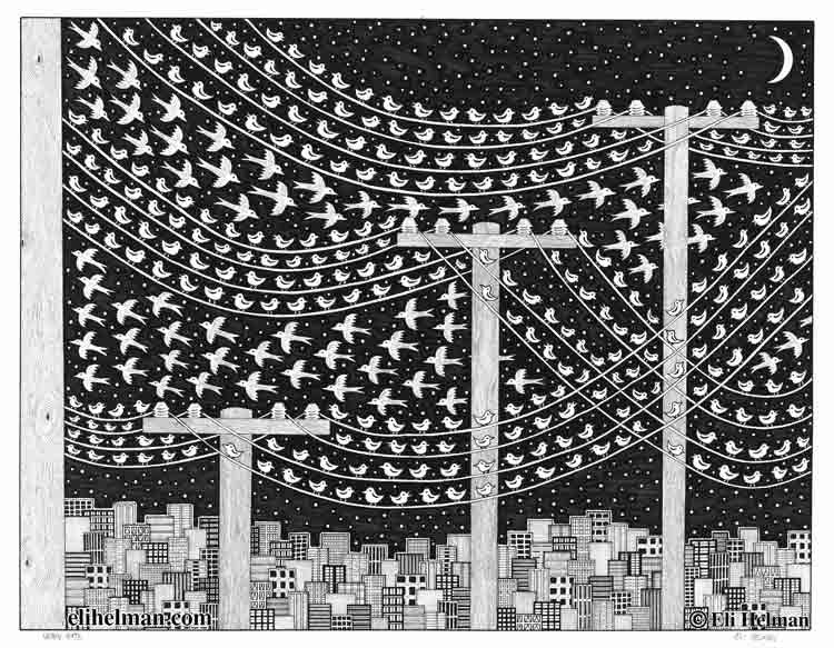 Urban Birds