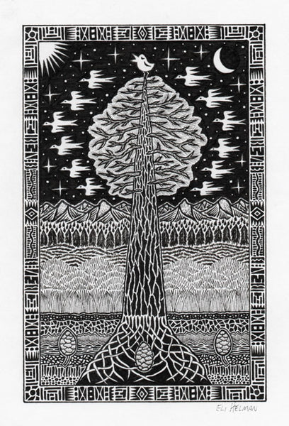 Bird on Redwood (original)