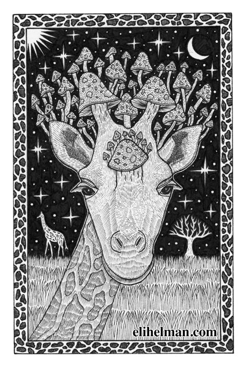 Giraffe #3 (original)