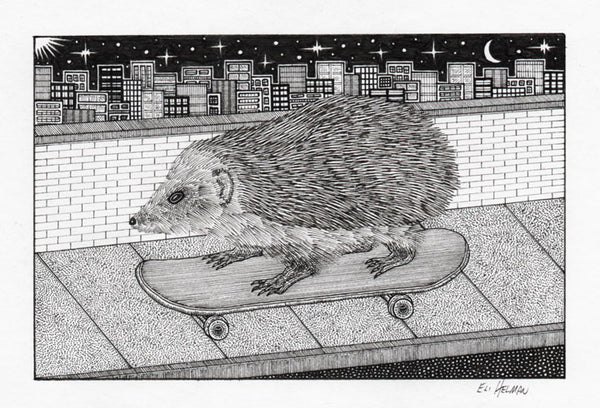 Hedgehog on Skateboard (original)