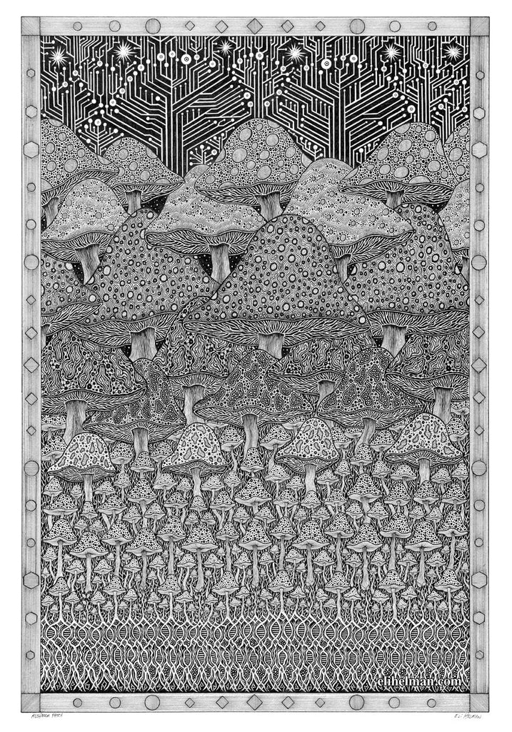 Mushroom Patch