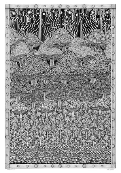 Mushroom Patch