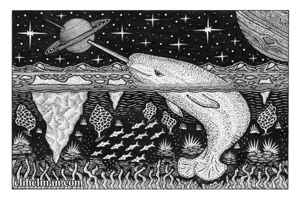 Narwhal #2 (original)