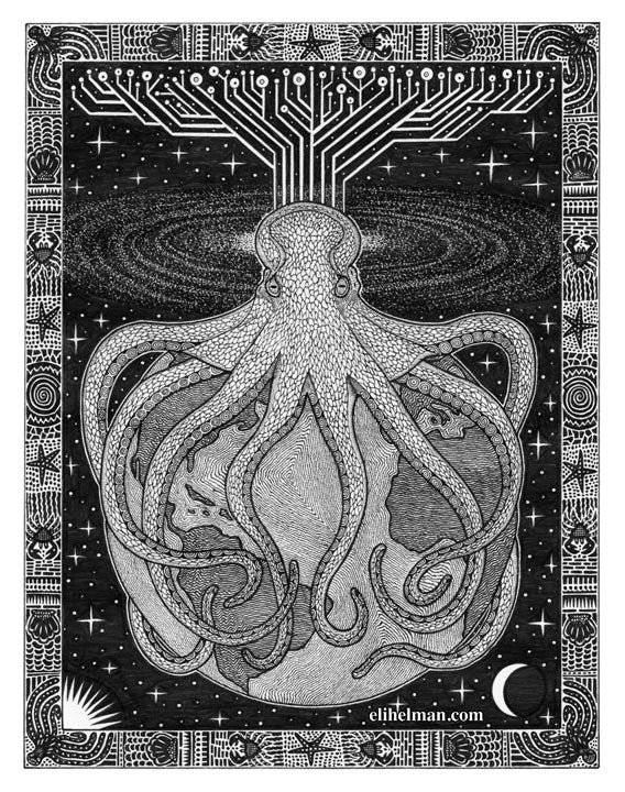 Octopus on Earth