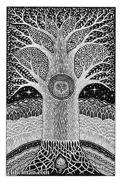 Owl in Tree #5
