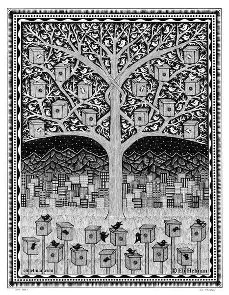 Bird Homes
