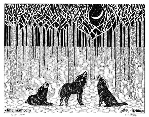 Forest Wolves