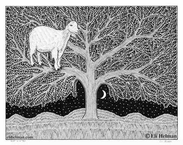 Goat in a Tree