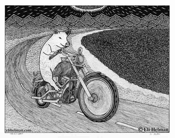 Hog on a Harley