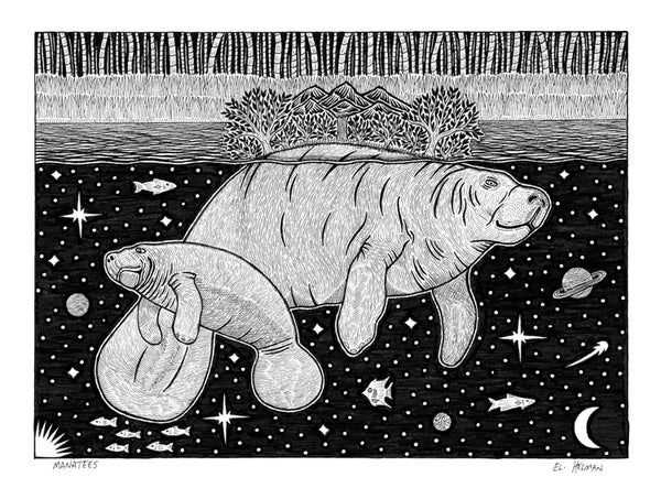 Manatees