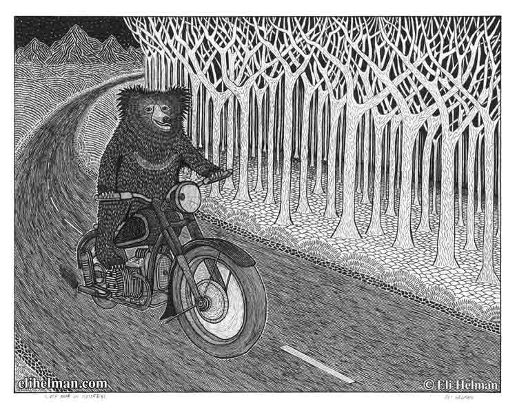 Sloth Bear on Motorbike